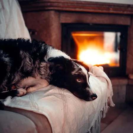 Casa Do Rio, 4890 بيت للعطل Basto