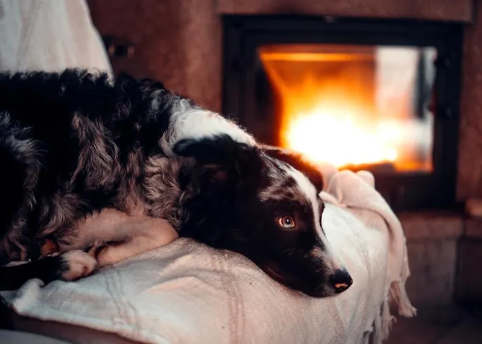 Casa Do Rio, 4890 Dom wakacyjny Basto